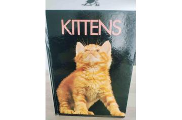 Kitten's Book