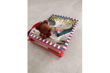 Teddy Bear Mini Book