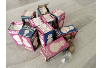 Mixed Pink/Blue Box Lucas bulbs