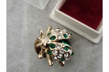 Cased Encrusted Beetle Pin