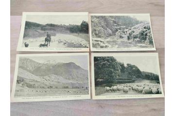 Vintage NZ Post Cards