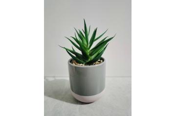 Feau Decor Plant
