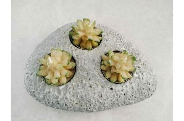 New Rock Cactus Candle