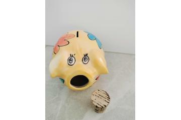 Novelty Piggy Money Box