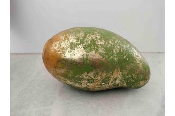 Green Decor Mango