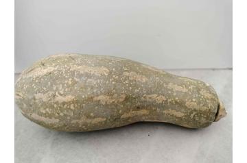 Marrow Decor Item